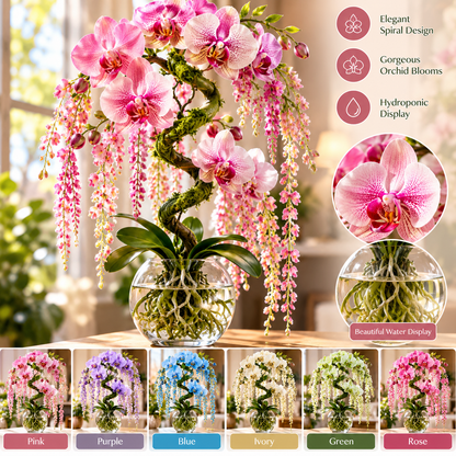 🌸 Rare Hydroponic Spiral Orchid Bulbs – Cascading Orchid Blooms