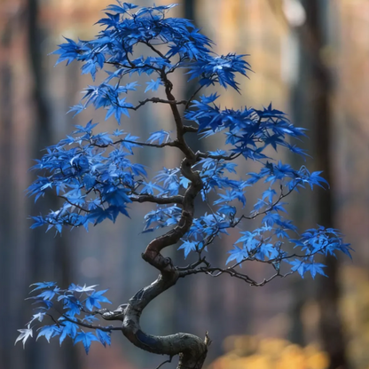 💙 Sapphire Maple Seeds 🌿 Grow Stunning Blue Foliage This Season