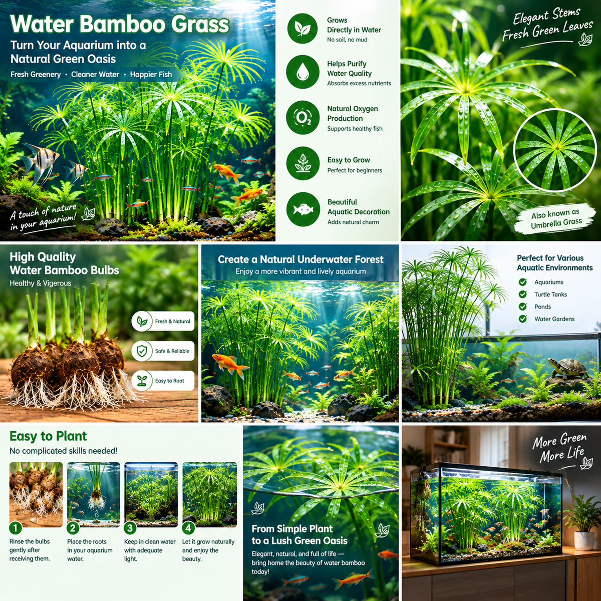 🌿 Hydroponic Water Bamboo Grass – Easy-Grow Green Aquarium & Pond Plant