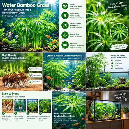 🌿 Hydroponic Water Bamboo Grass – Easy-Grow Green Aquarium & Pond Plant