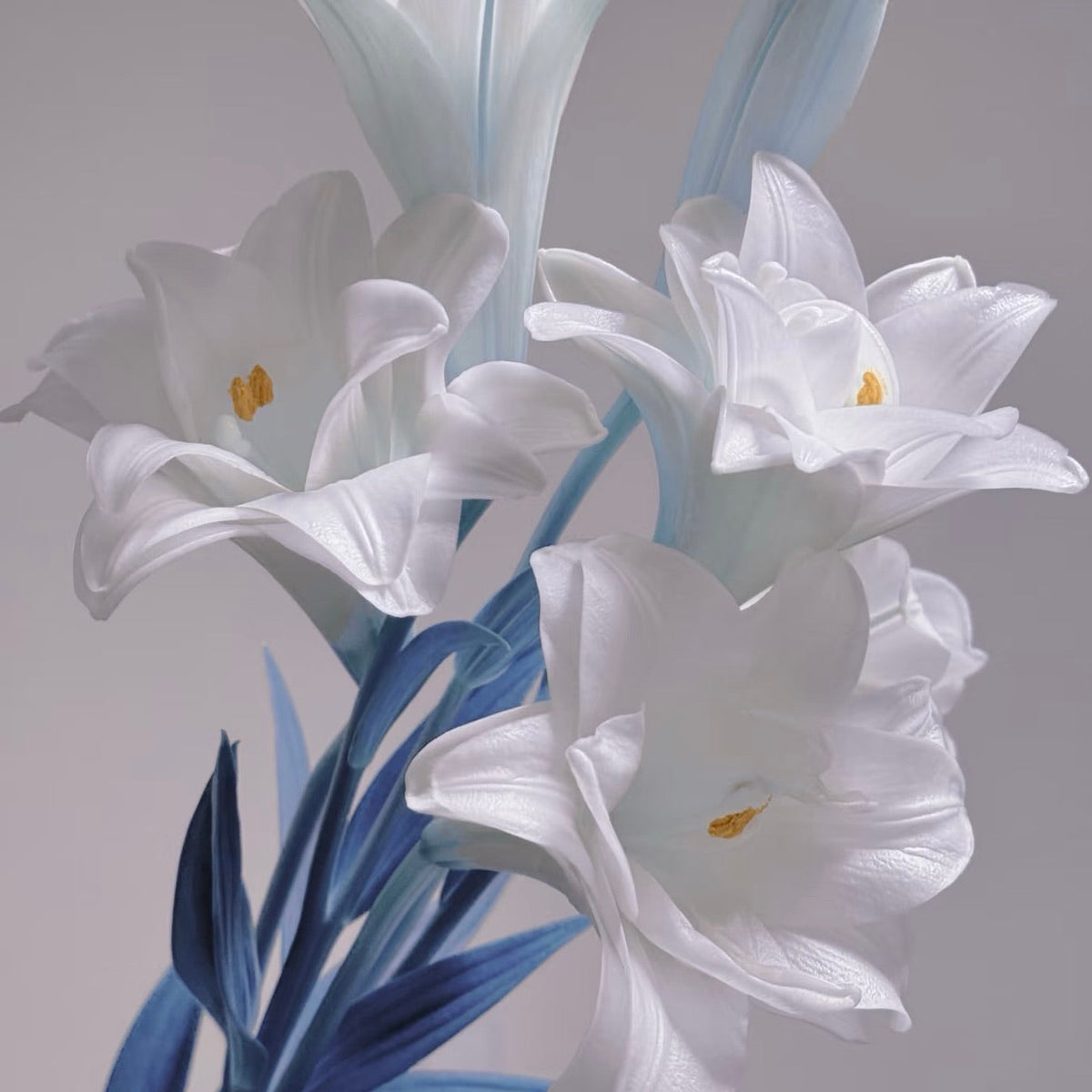 🌸Unique Lily Seeds Mix | A Collector’s Choice for Garden Lovers