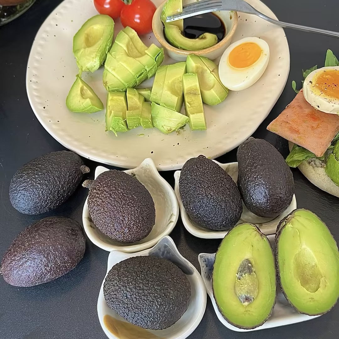 🍴 😍From Mini to Long-Neck🥑 Discover Extraordinary Avocados