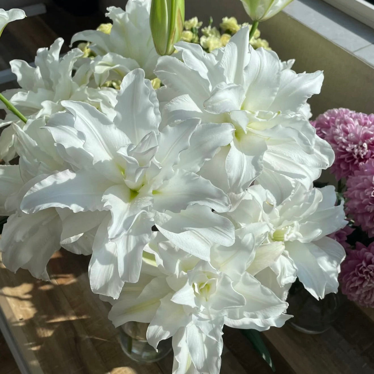 🌸Unique Lily Seeds Mix | A Collector’s Choice for Garden Lovers