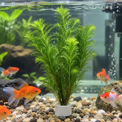 🌿 Emerald Feather Aquatic Grass ✨ Elegant Water Garden Decor