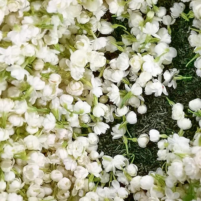 🏆 50K+ SOLD! 🌿❄️ FrostCharm Jasmine Seeds – Winter Planting, Perennial Blooms & Fragrant Garden Elegance 🌸