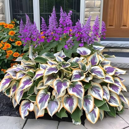 🔥Premium Hosta Seeds🌸Easy to Grow, Comes Back Every Year ✨ Perfect for Beginners