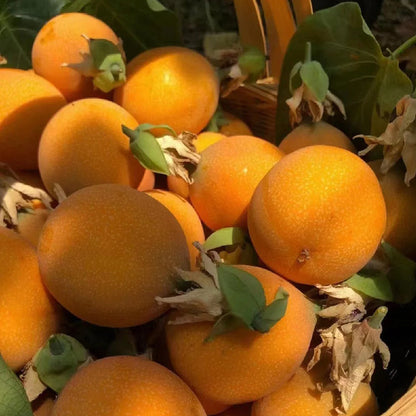 🍋🍋COLOMBIAN PASSION FRUIT SEEDS