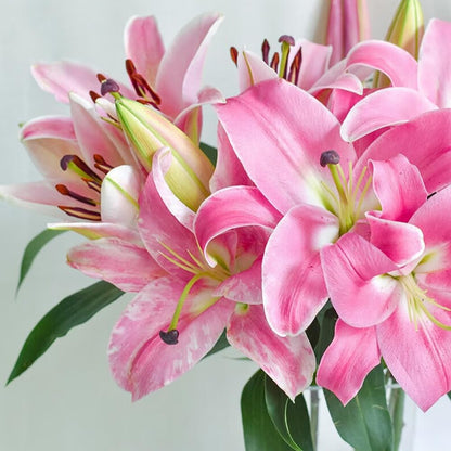 🌸 Premium Lily Bulbs – Fragrant Perennial Blooms for Gardens & Containers
