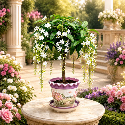 👍New Arrivals👍💐Rare Weeping Jasmine Bulbs✨Strong Fragrance | ⏰Last‑Day Up To 50% OFF
