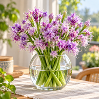 🔥Purple