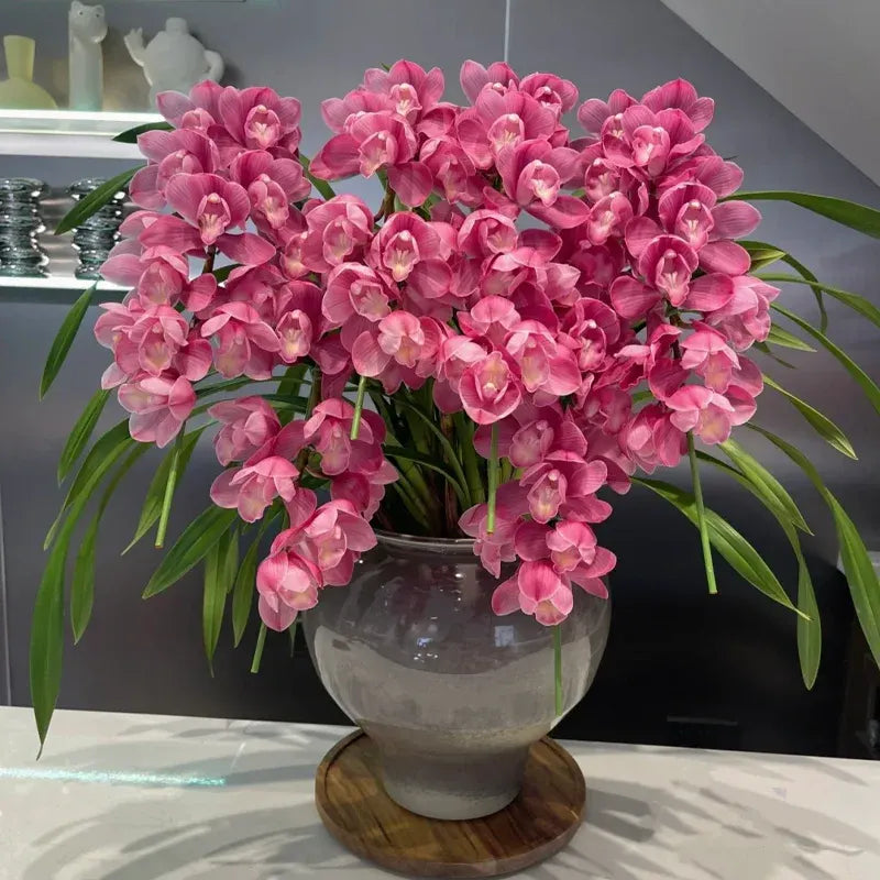 👑 The Queen of Orchids — Long-Lasting Cymbidium Bulbs