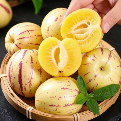 ˚ʚ🍈ɞ˚Grow Your Own Refreshing, Nutrient-Rich Pepino Melon – Sweet, Hydrating & Perfect for Summer 😋