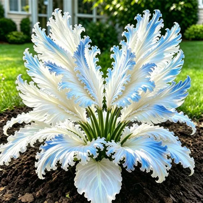 👍New Arrivals👍🌱Rare Swan Feather Hosta Bulbs -🦢 Graceful Foliage That Unfolds Like Swan Wings