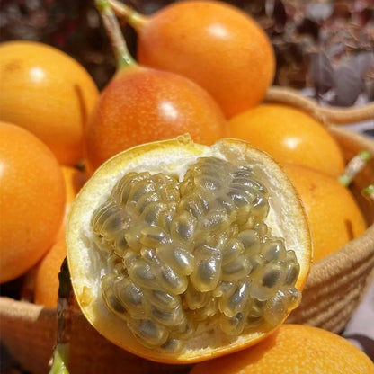 🍋🍋COLOMBIAN PASSION FRUIT SEEDS