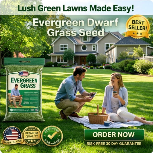 🌱 2026 New Formula Grass Seed 🎄Stay Green in Every Season