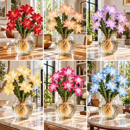 🌵🌸 Rare Hydroponic Multicolor Flowering Cactus Bulbs
