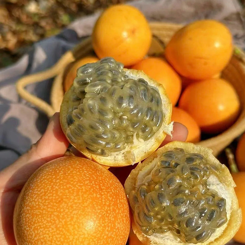 🍋🍋COLOMBIAN PASSION FRUIT SEEDS