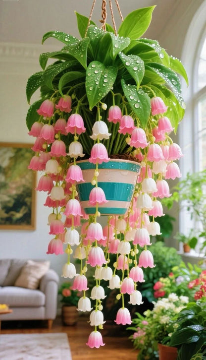 🌿 Hanging Lily of the Valley – Elegance That Lasts Year After Year 🌸