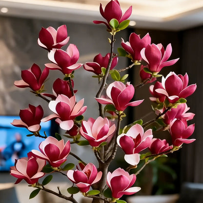 🌺Last Day 50% OFF🌸Magnolia liliiflora (Purple Orchids) Bulbs 🌸 Flowers Hide the Leaves, Fragrance Fills the Air