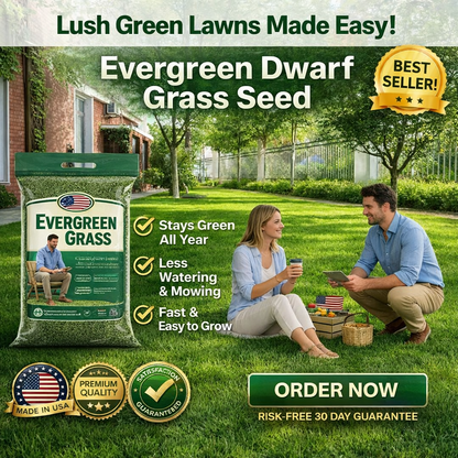 🌱 2026 New Formula Grass Seed 🎄Stay Green in Every Season