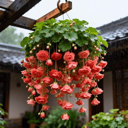 🤗💮Rare Crabapple Bulbs 🌱 Germinates in Just 7 Days, Stunning Blooms Await
